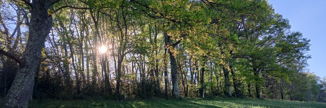 ballades pleine conscience stage