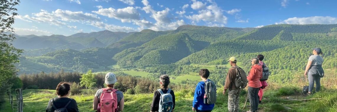 groupe en marche consciente face aux montagnes lors dun stage de ressourcement nature meditation et gestion du stress anapana dans les pyrenees