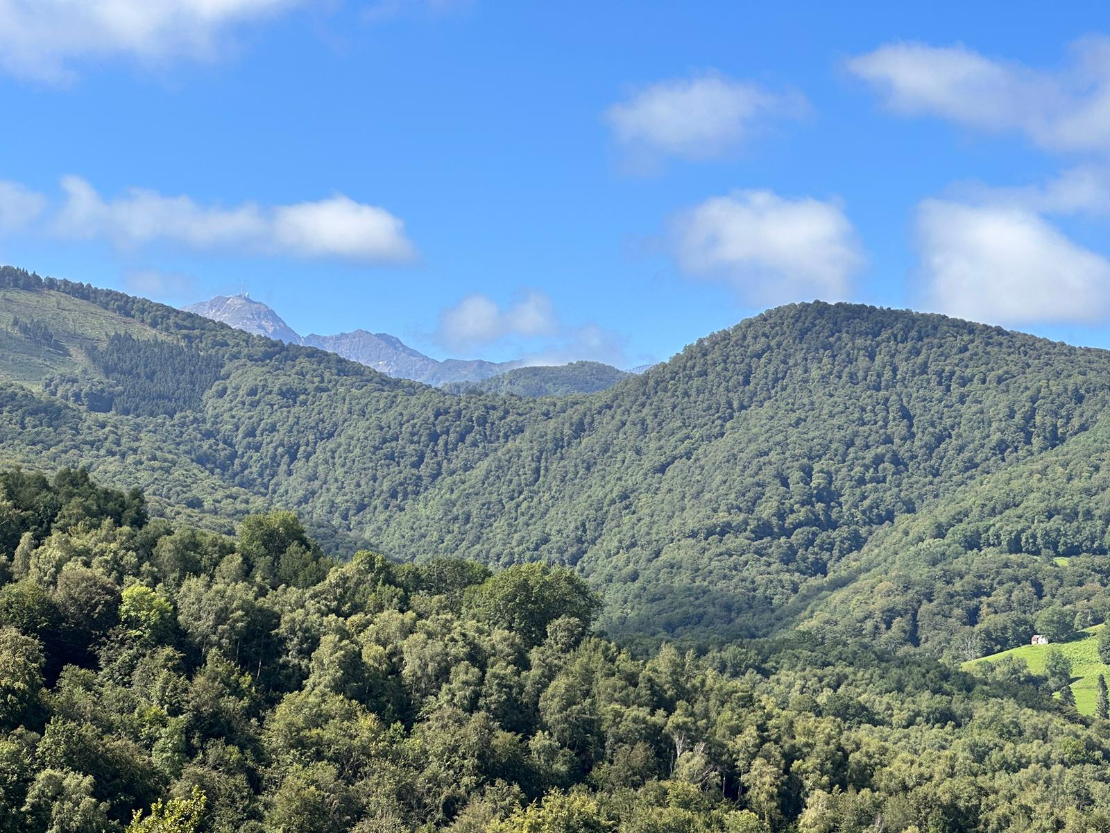Paysage des Pyrénées autour du lieu de stage
