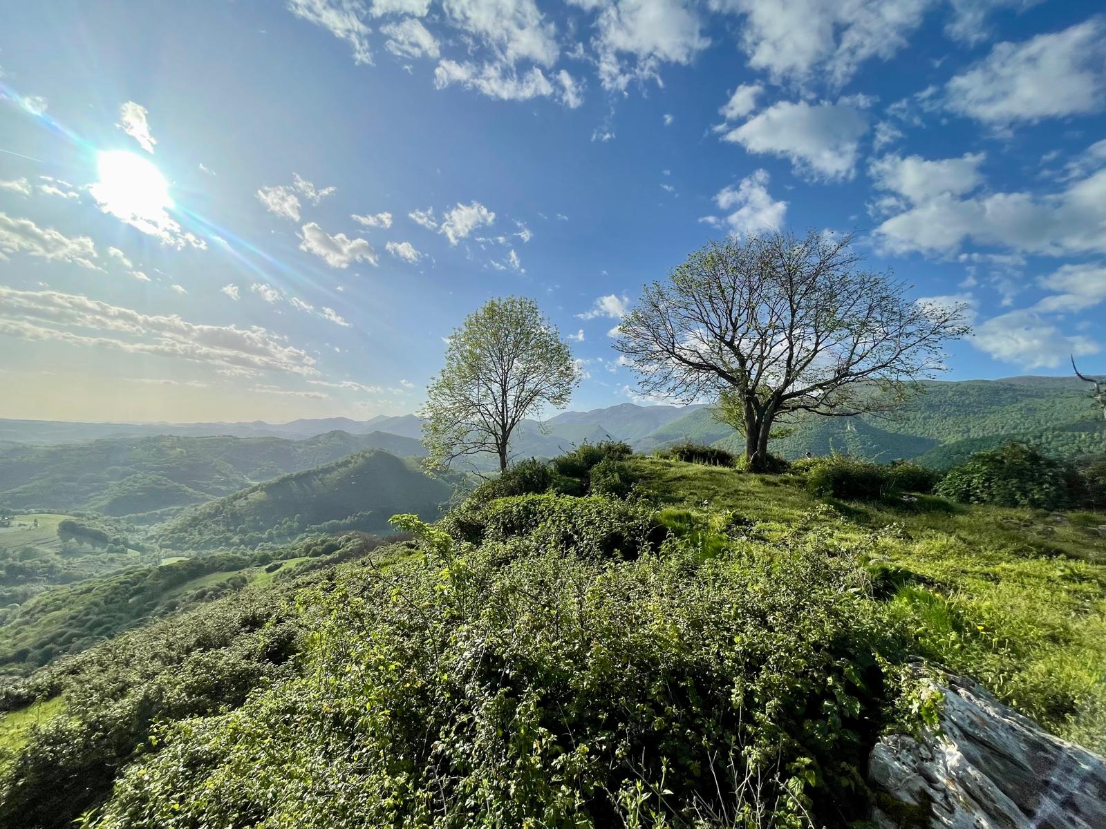 Groupe Anapana en marche consciente face aux montagnes des Pyrénées